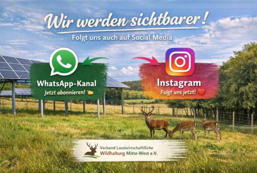 Wir werden sichtbarer – folgt uns auch digital